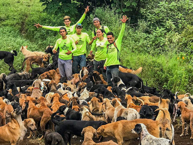 Costa Rica dog sanctuary
