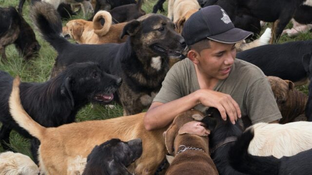 costa rica animal shelter