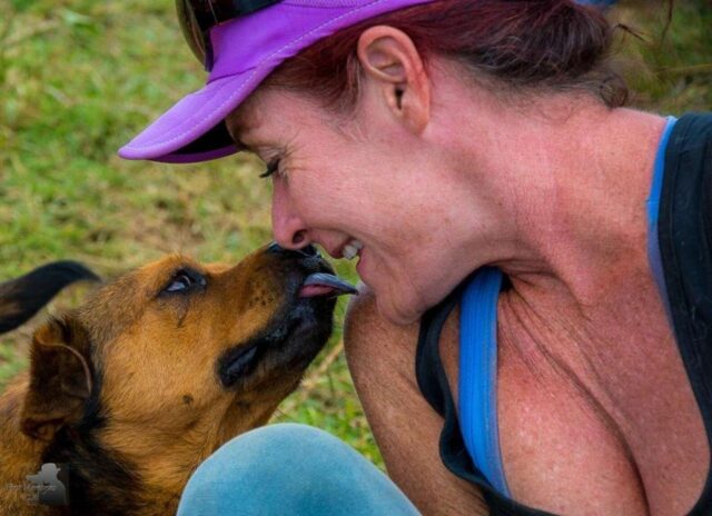 dog rescue history