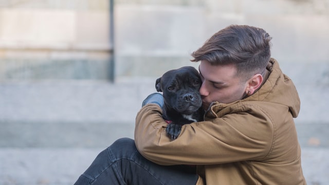 hug and kiss dog hug and kiss dog