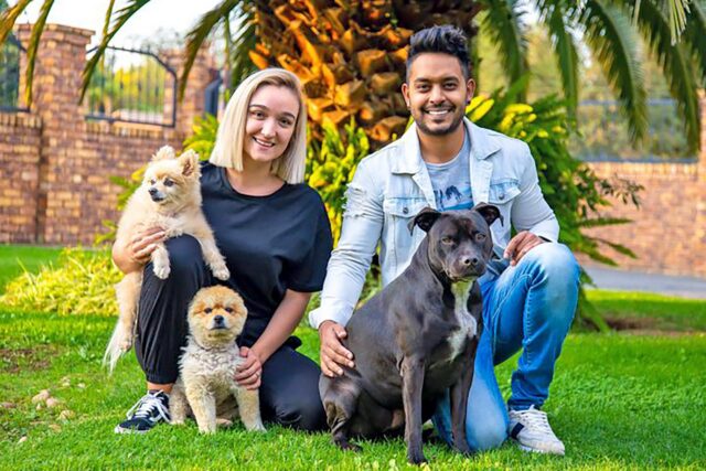 jessie animal hero dog saving lives