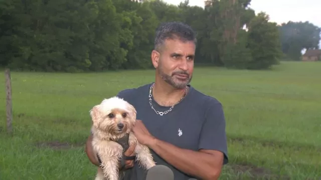 maggie housefire hero dog story