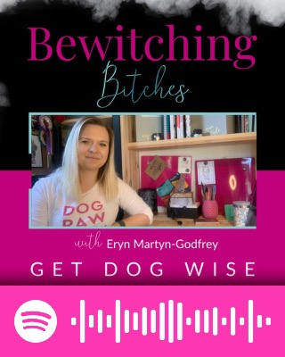 Bewitching Bitches Get Dog Wise Bewitching Bitches Get Dog Wise