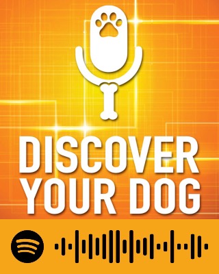 Discover Your Dog Discover Your Dog