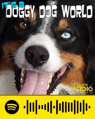 It's A Doggy Dog World Its A Doggy Dog World