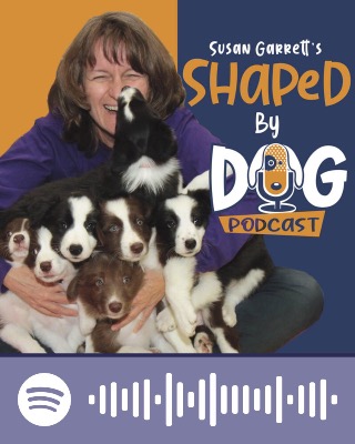 Shaped by Dog with Susan Garrett Shaped by Dog with Susan Garrett