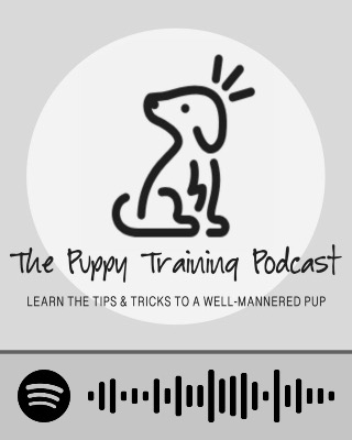 The Puppy Podcast The Puppy Podcast