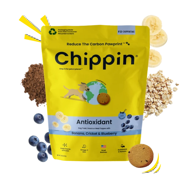 chippin banana cricket blueberry