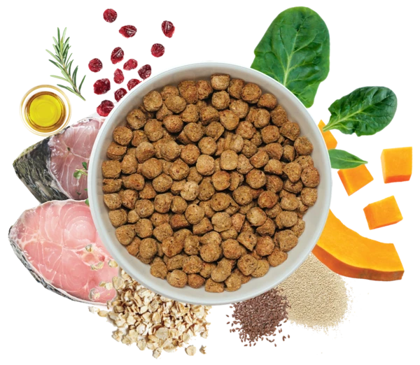 dog food
