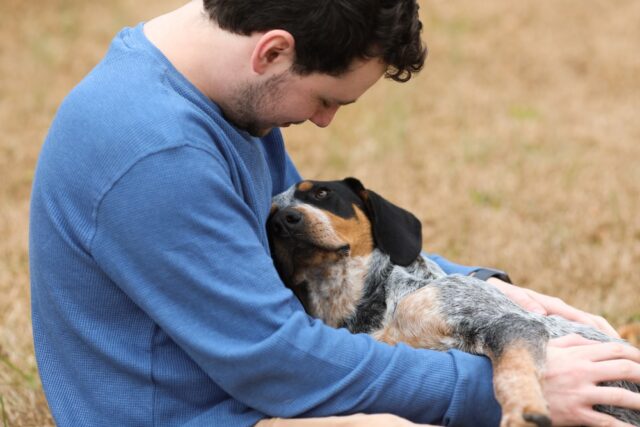 senior dog on lap of owner