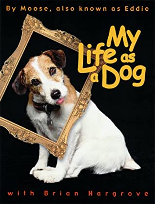 dog book my life as a dog dog book my life as a dog