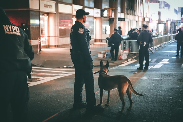 law enforcement dog
