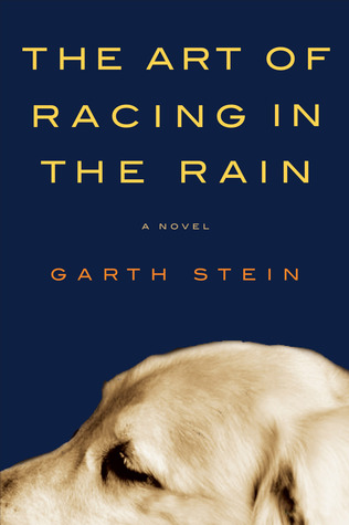 the art of racing in the rain the art of racing in the rain