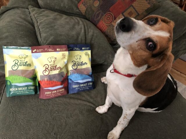beg and barker treats