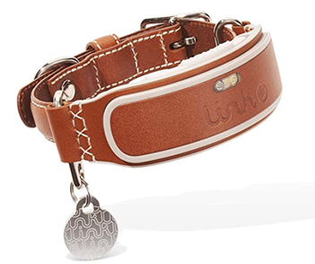smart dog collar