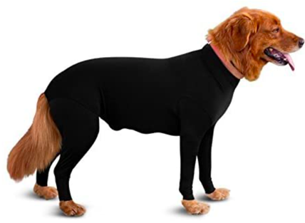 dog shedding solution