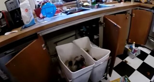 <center><a href="https://www.youtube.com/watch?v=ZpprJp7tGi8" target="_blank" rel="noopener">Image Credit from YouTube video</a></center>