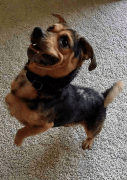 benji5