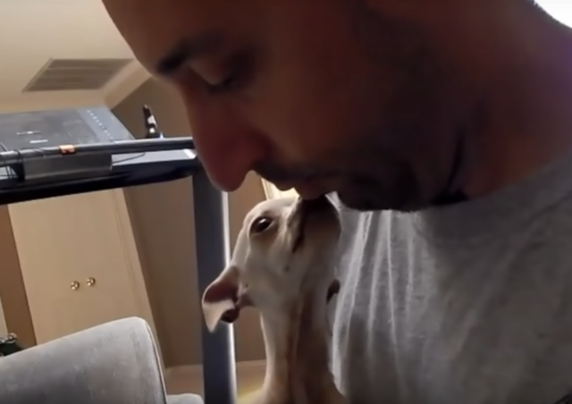 chi5