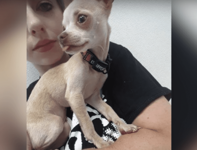 chi6
