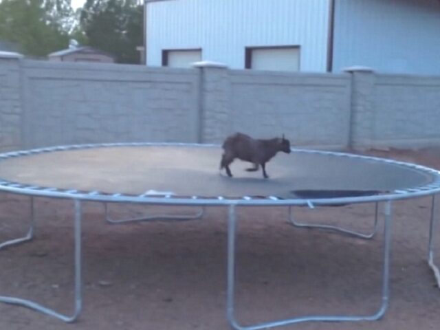 0004 14Mar2018 06