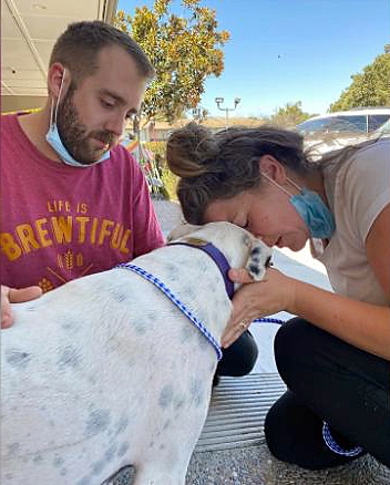 200818194415 california couple reunite dog car crash trnd exlarge 169
