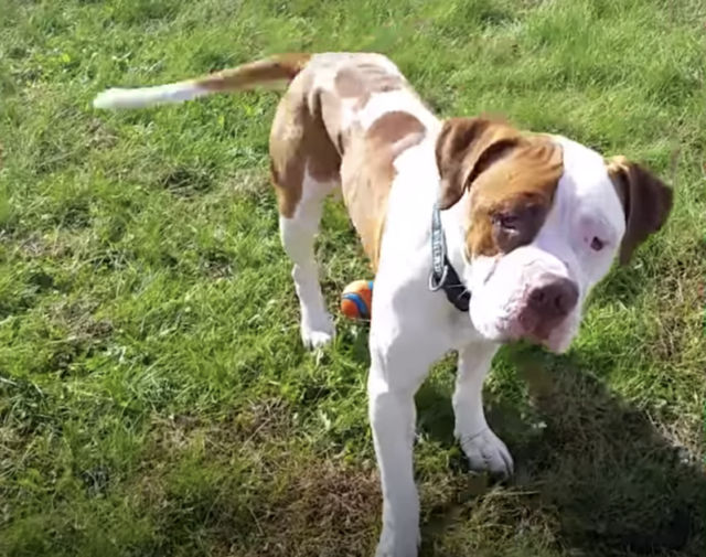 Screen Shot 2020 05 04 at 10.01.49 AM