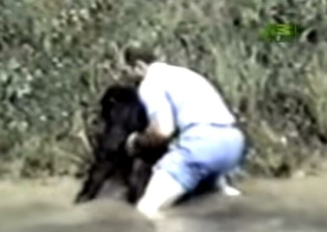 ape3