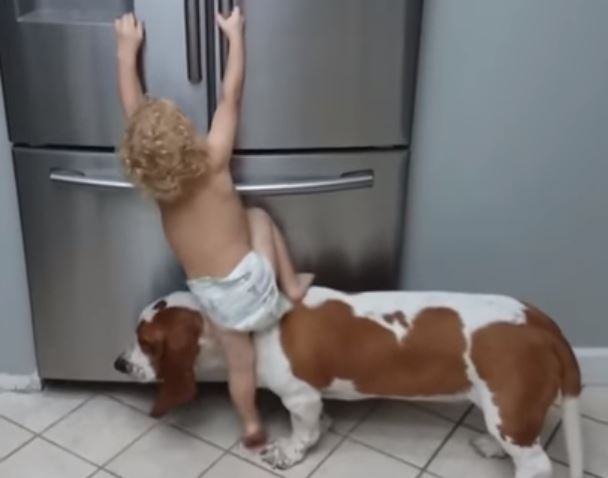 baby fridge 1