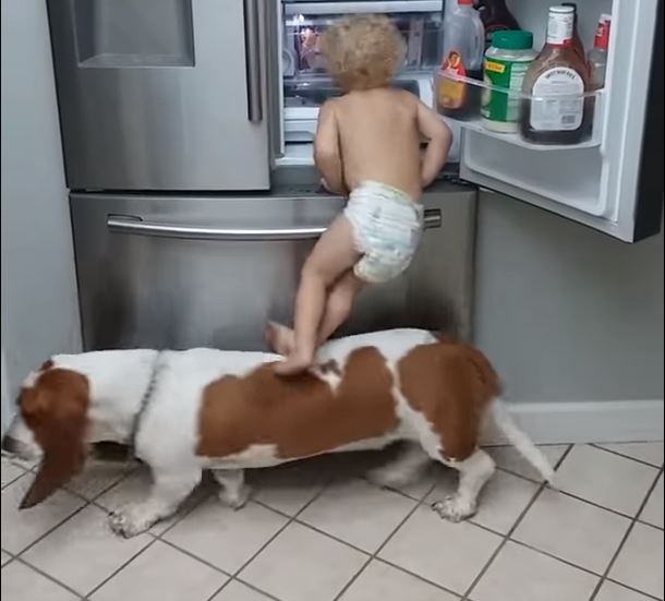 baby fridge 2