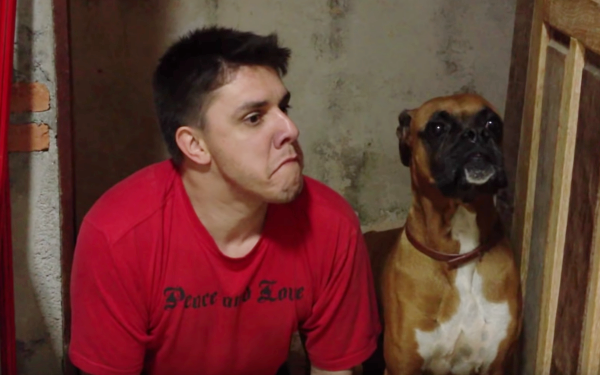 boxer1