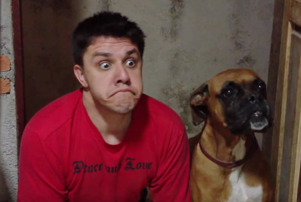 boxer2