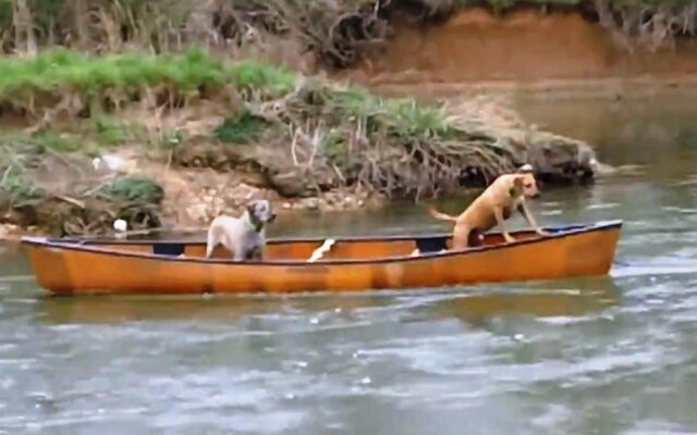 canoe1