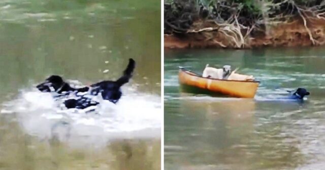 canoe2