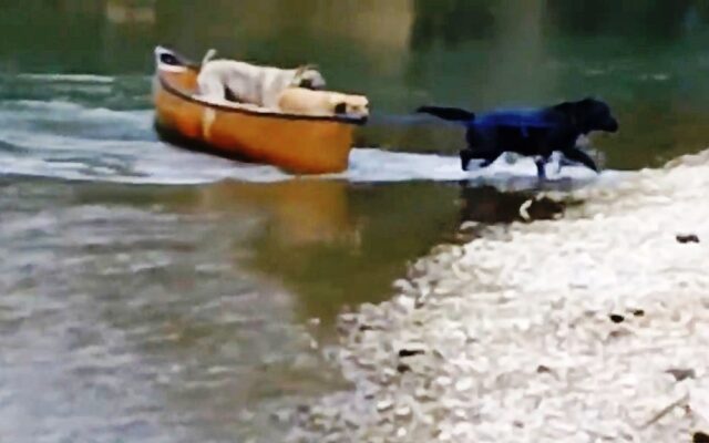 canoe3