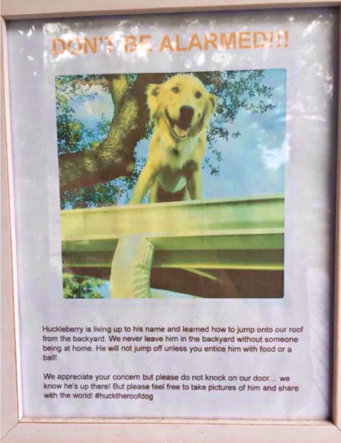 hucksign1 485x630 1