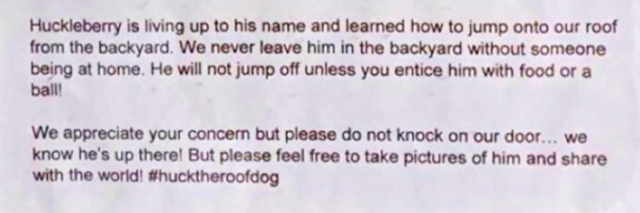 hucksign2