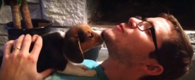puppy1