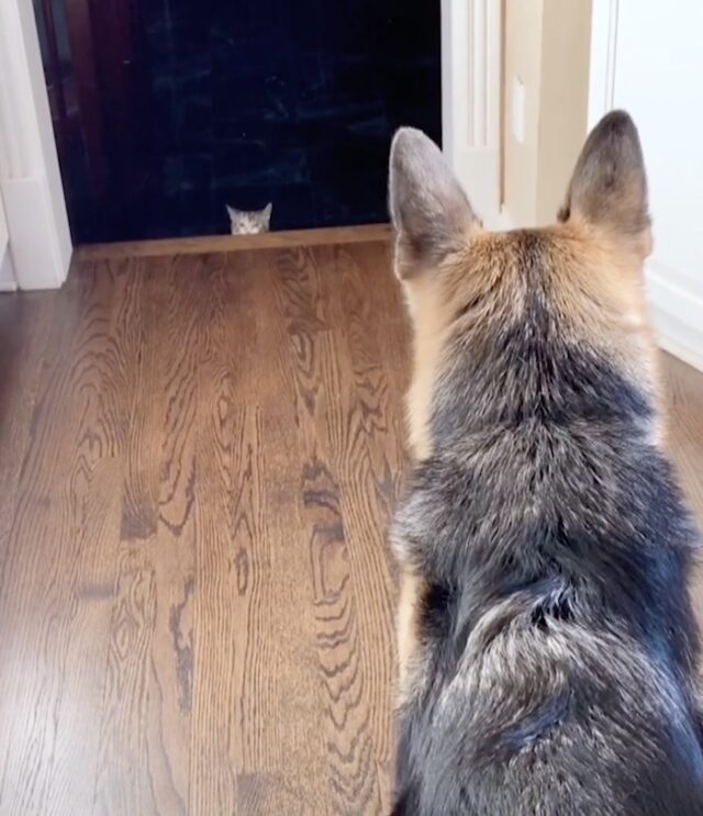 anya6 anya6