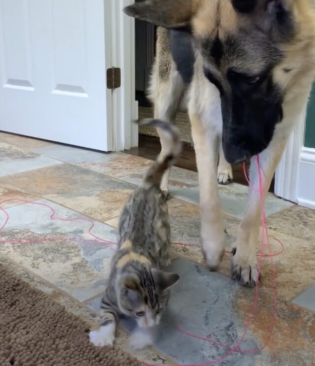 anya7 anya7