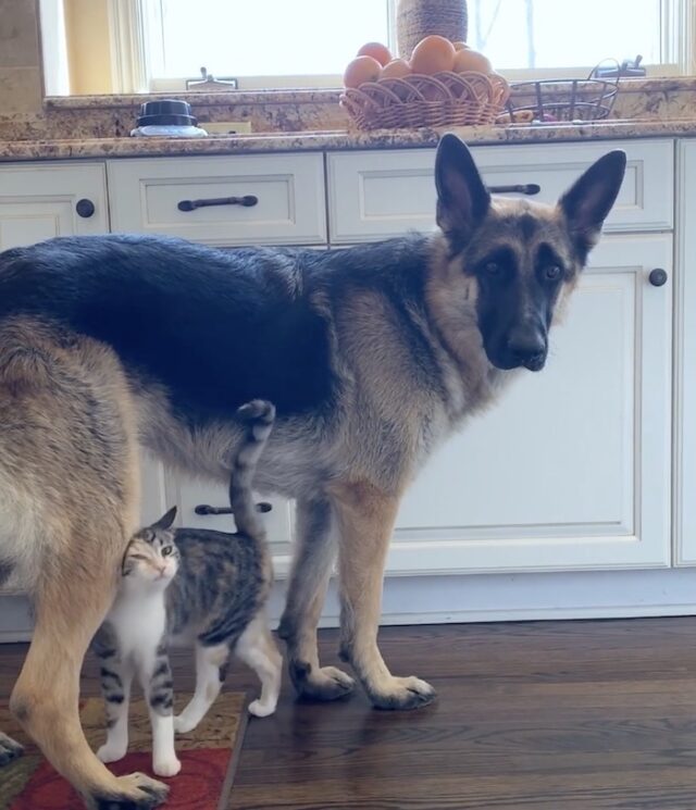 anya8 anya8