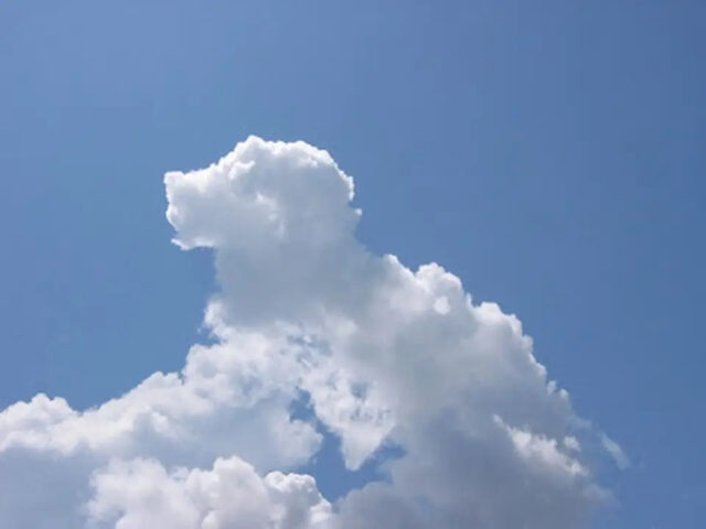 c4