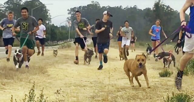 cross-country-feat cross country feat