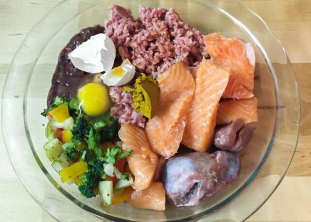 dog diet 882x630 1