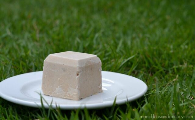 homemade frozen treat