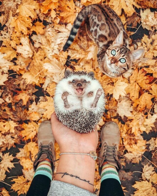 1 3