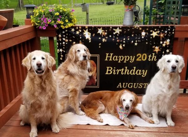 Augie Birthday 1 e1592993152714