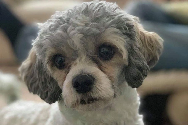 Bella1-0119520 Bella1 0119520