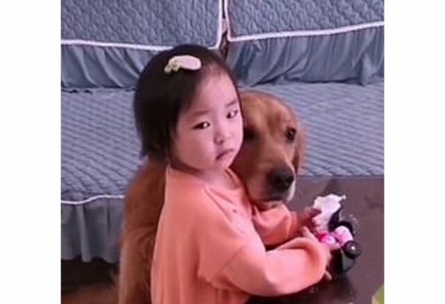 Loyal-Golden-Retriever-Protects-Crying-Girl-From-Mother-When-Being-Told-Off-I-2-scaled Loyal Golden Retriever Protects Crying Girl From Mother When Being Told Off I 2 scaled 1