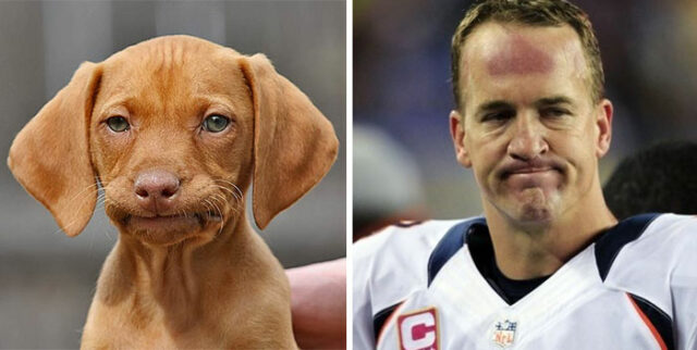 Manning